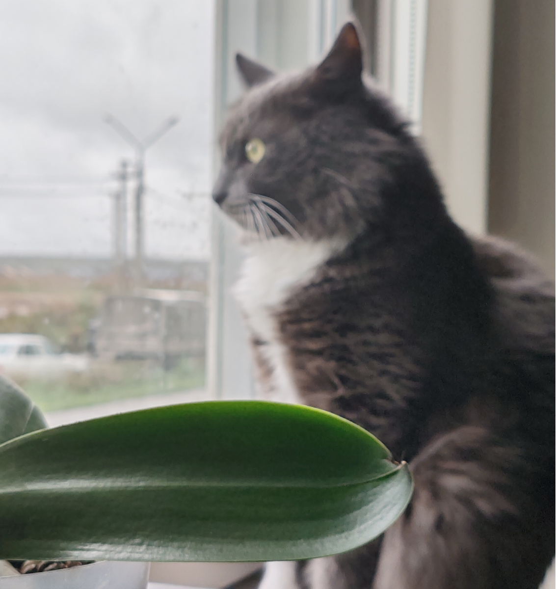 Фото автора канала. 