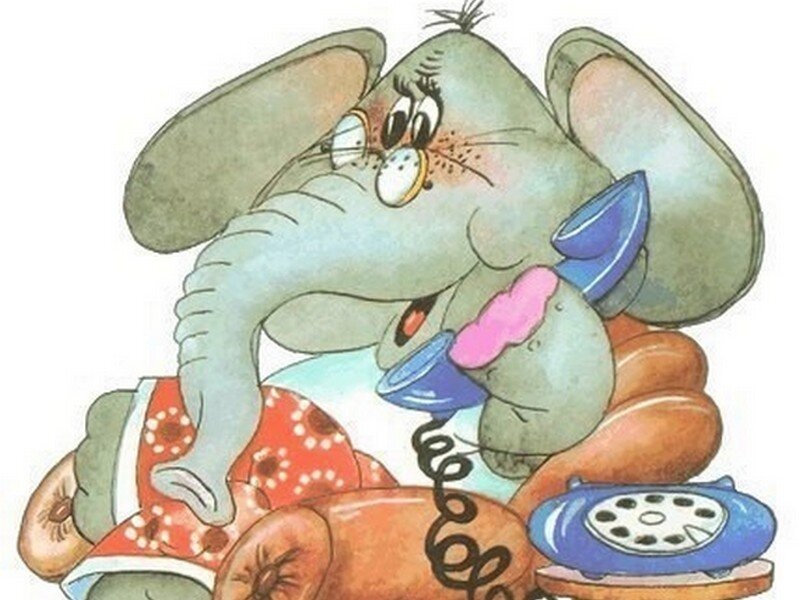 из интернета