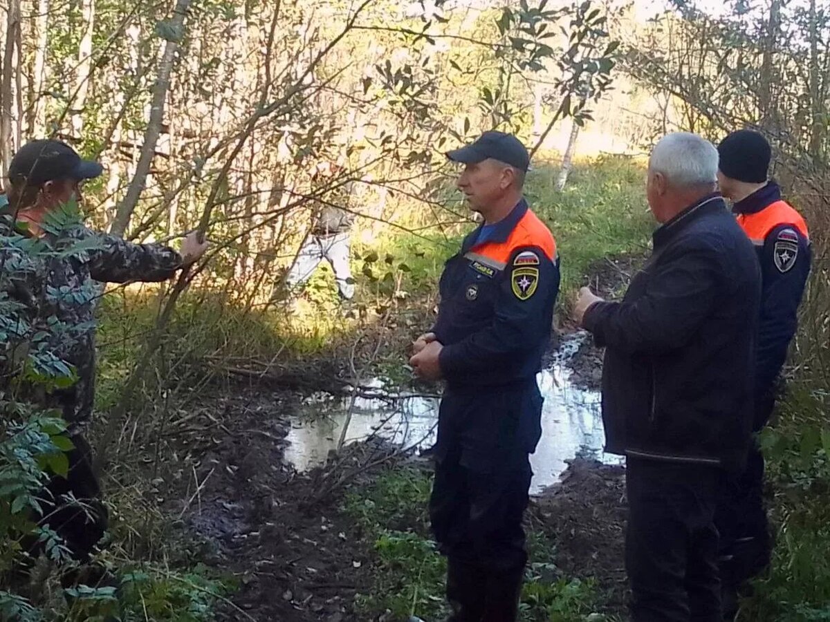 Фото здесь и далее из канала Михаила Ведерникова в мессенджере МАХ