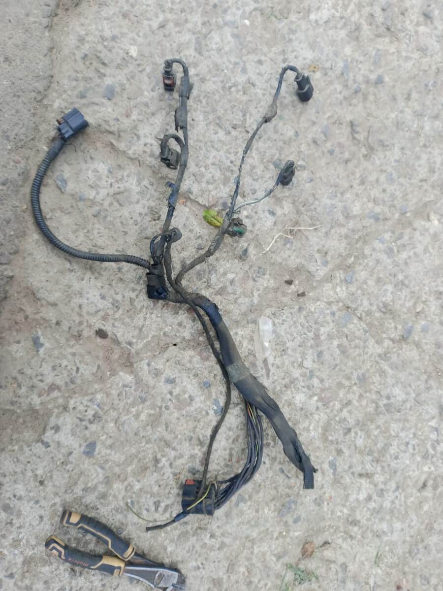 Коса форсунок. Полность надо будет менять проводку. Спеклись...