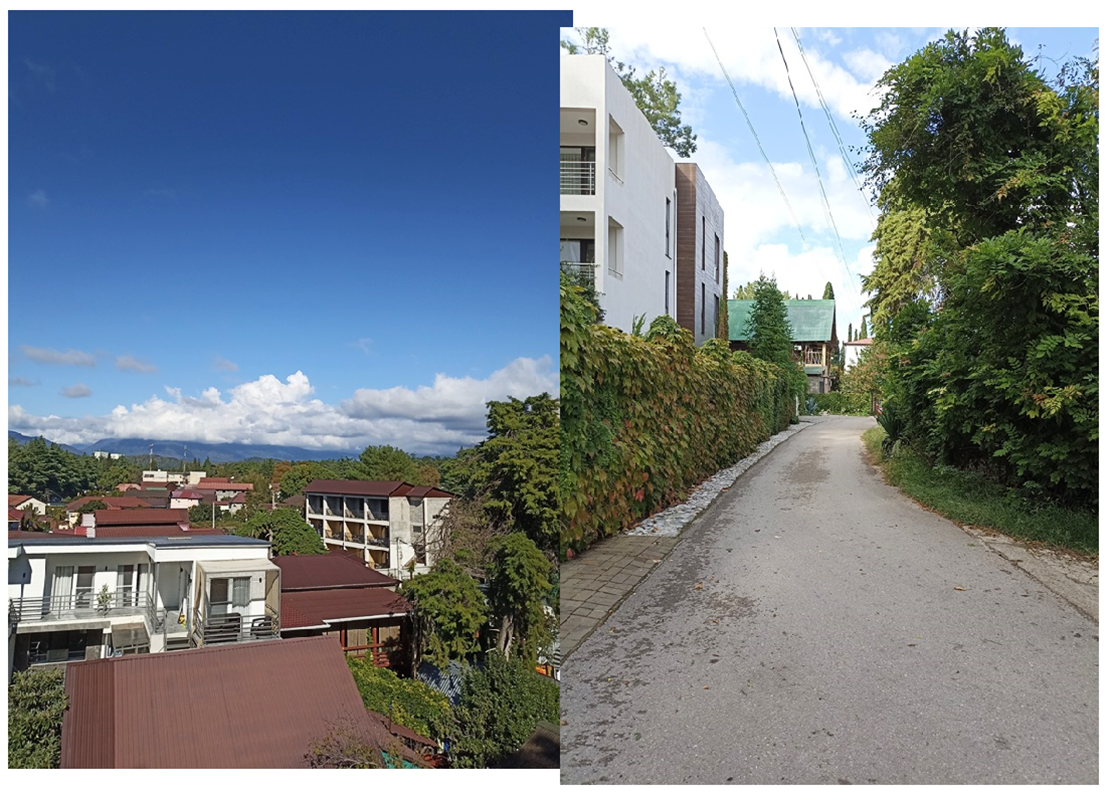 Пицунда в октябре, Абхазия-2025. Фото Tatyana Gol, скопировано из комментариев