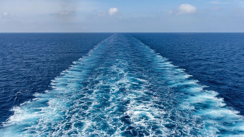    Фото: Majonit/Shutterstock/Fotodom