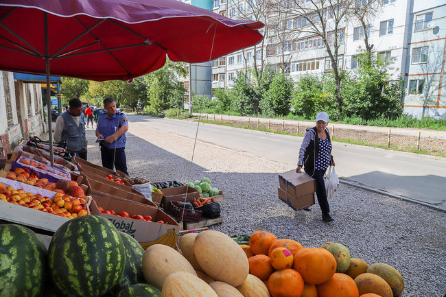    Тула незаконные точки арбуз дыня