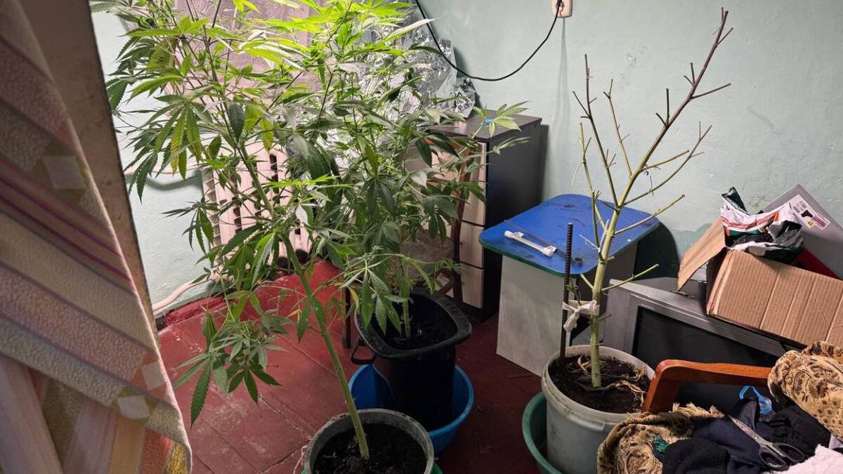    Фото: МВД Крым / Telegram