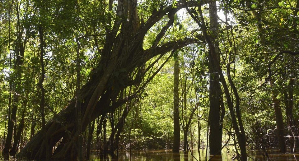    Harald von Radebrecht/imageBROKER.com / www.globallookpress.com