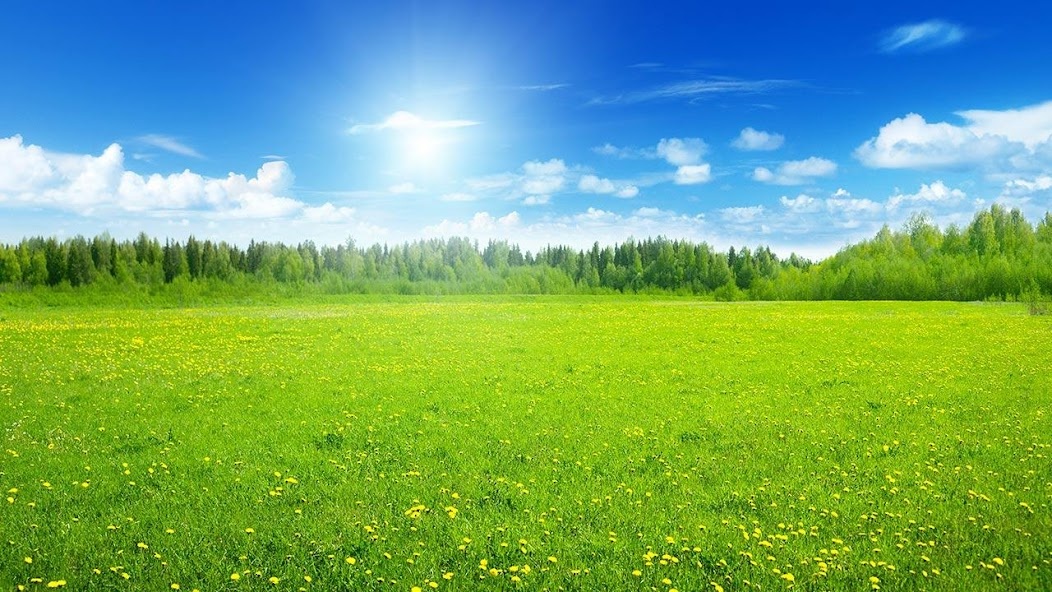 Из интернета 