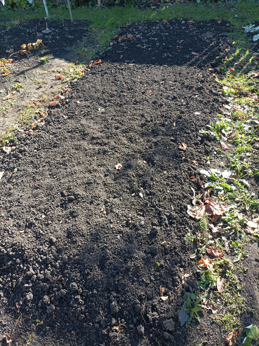 Вскопанная и разрыхленная грядка