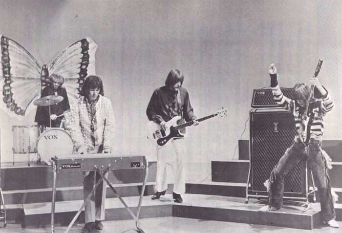 Бабочки играют, бабочки!