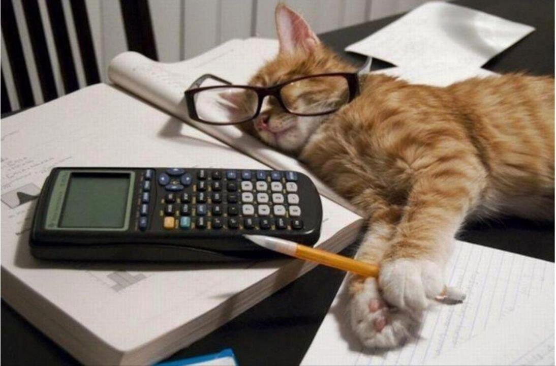 Пишу эту статью в ночь на субботу и чувствую себя таким котом. Источник фото: Яндекс.Картинки