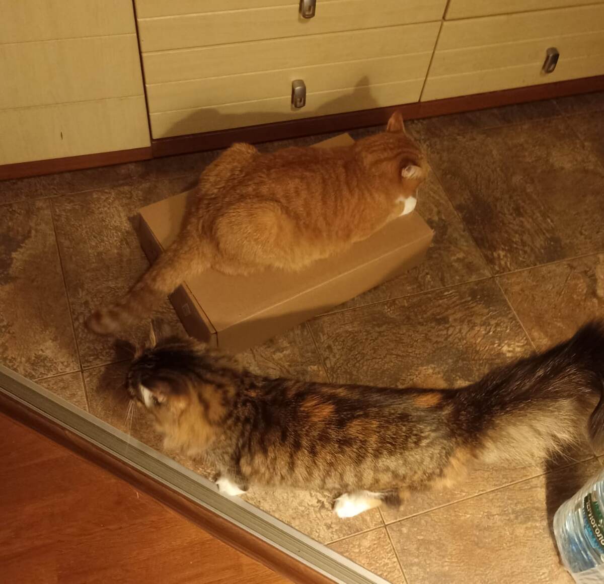 Распаковщики в деле! )) 