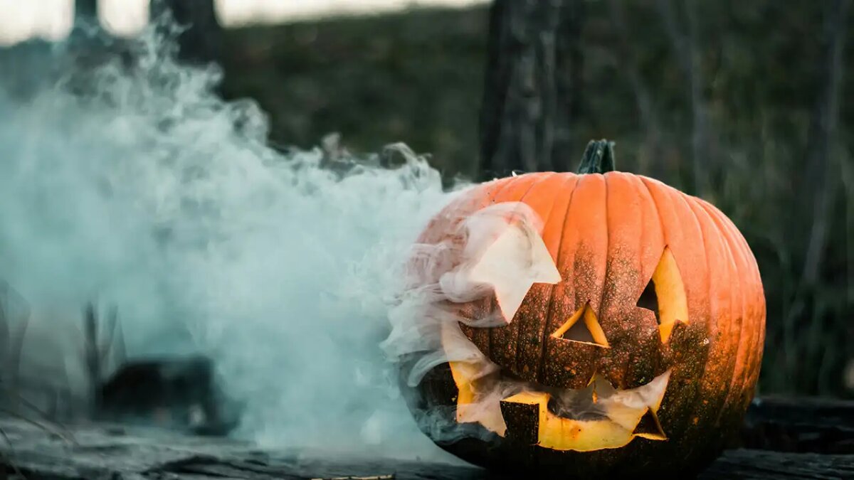     © unsplash.com/Colton Sturgeon