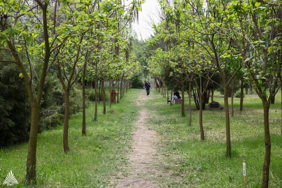 Фото: Центр общественных коммуникаций ЮФУ