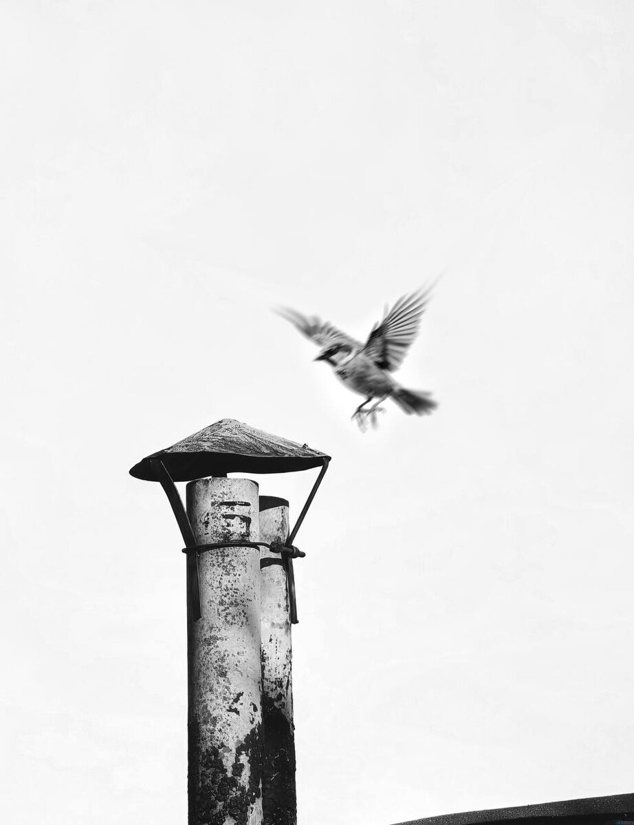 Телеграм - Святая Руфь📸