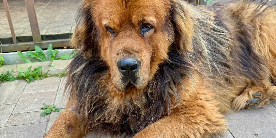 Грустное лето