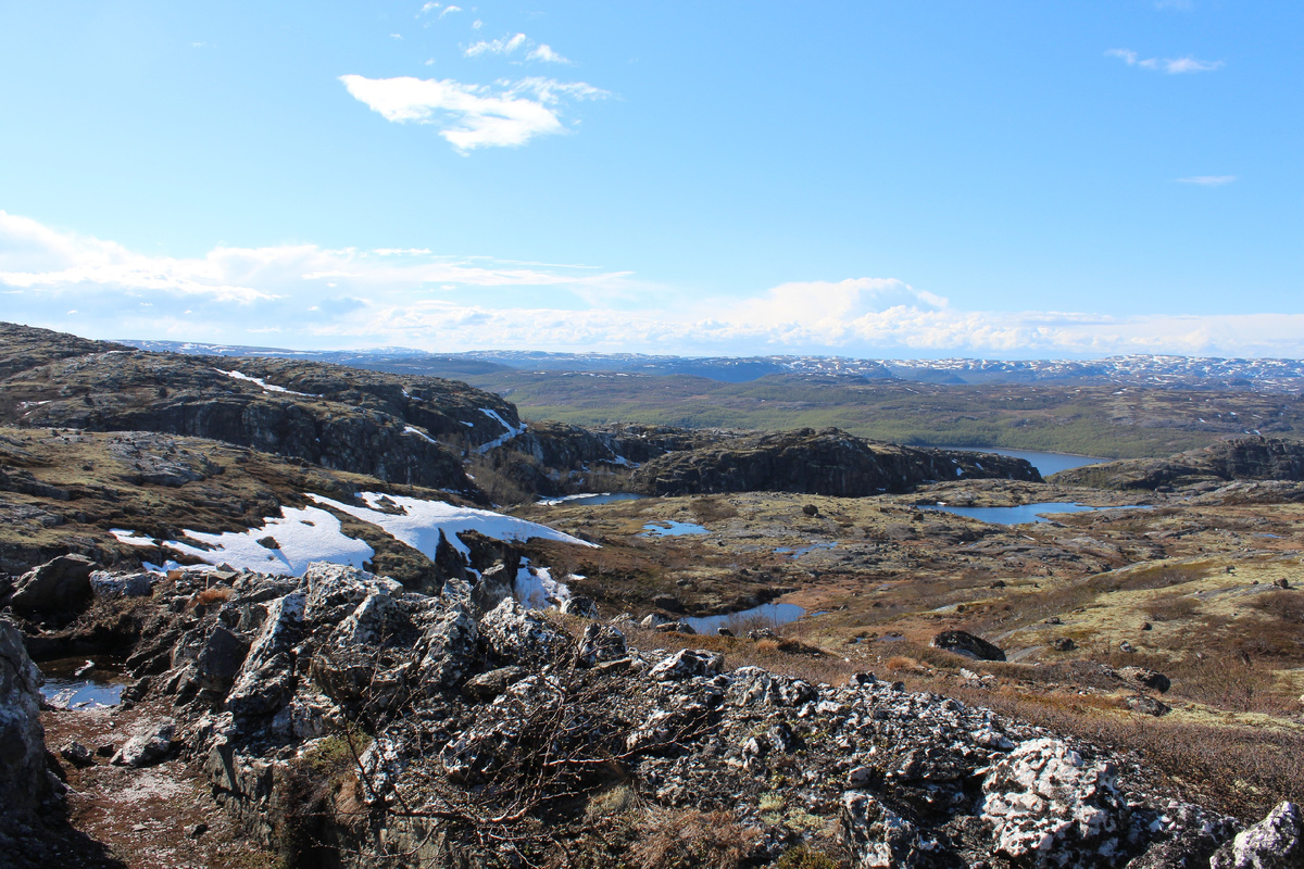 Солнечный день в тундре