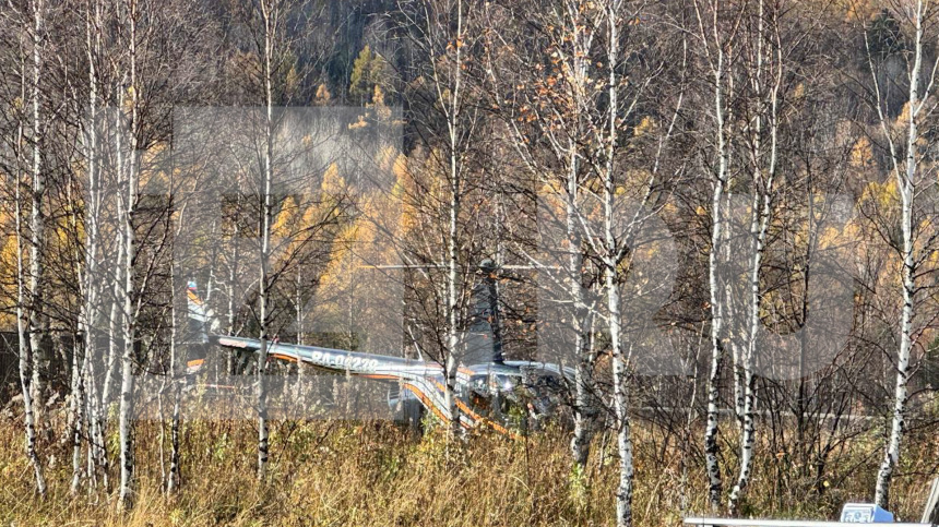    Фото: 5-tv.ru