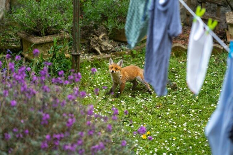    Фото: Will Coates-Gibson on Unsplash