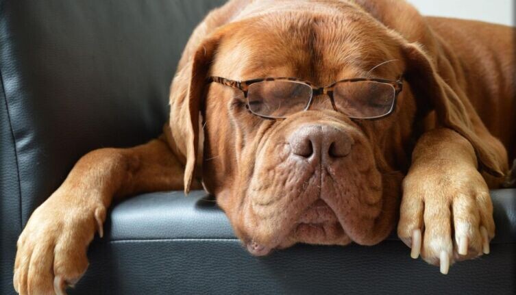     Фото: по лицензии CC0 Pxhere.com