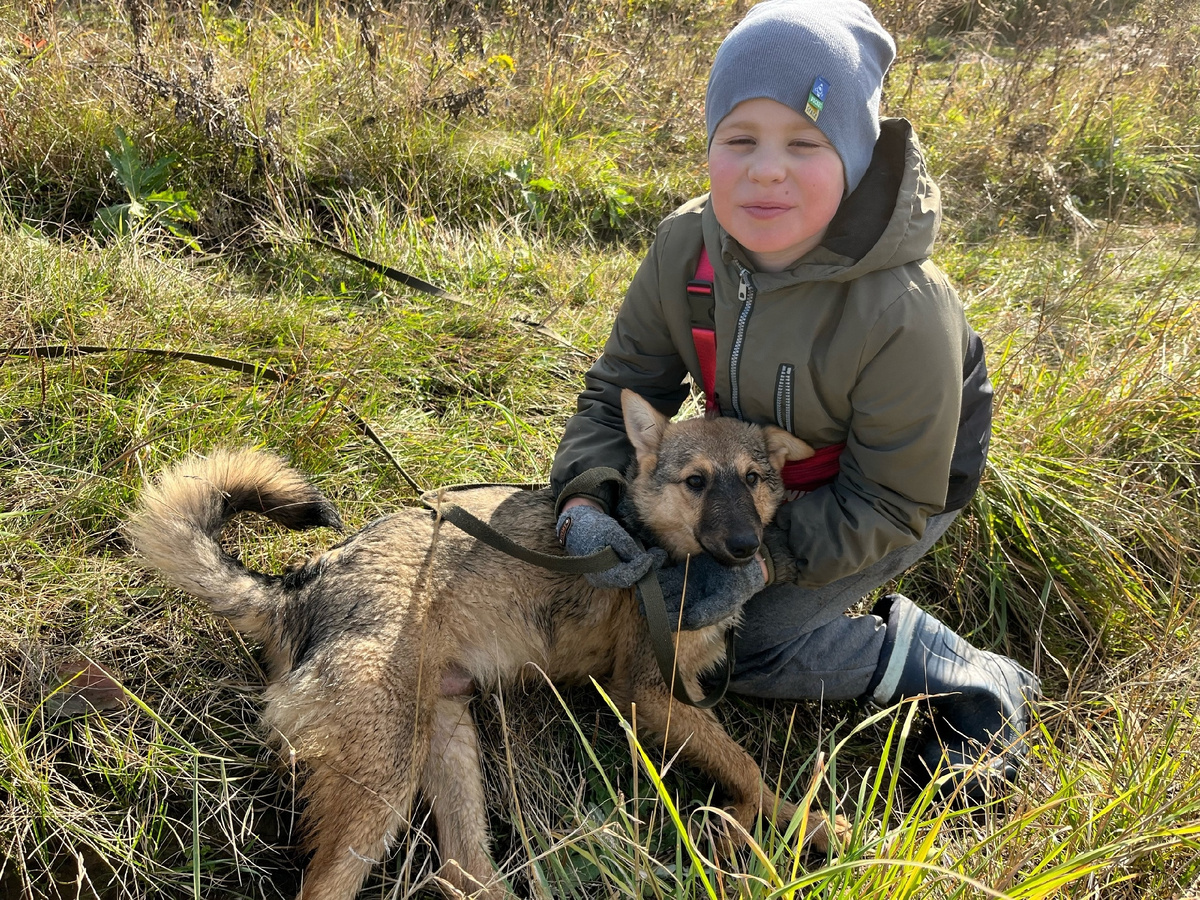 Дима и Максик 