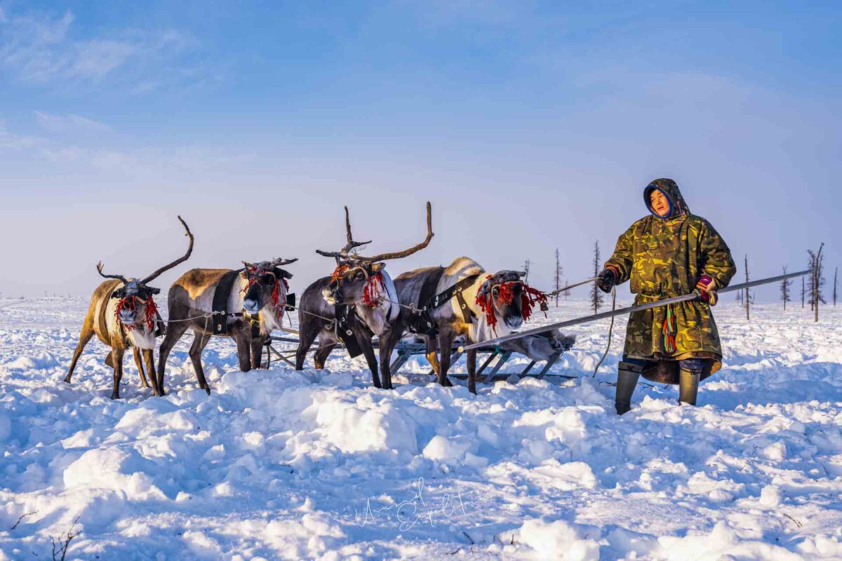 фото из josephmak.com