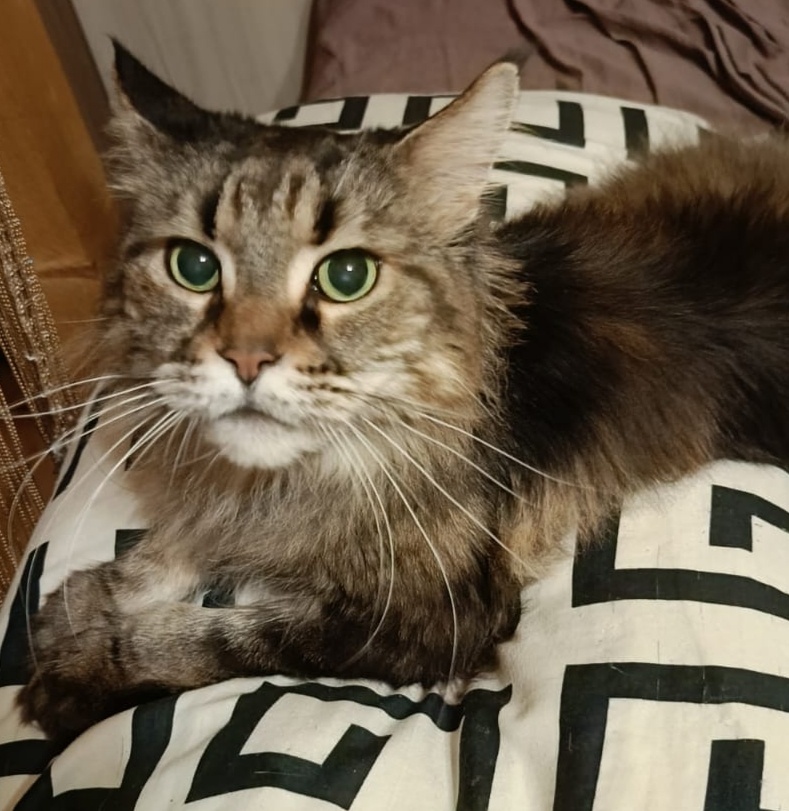 Марго Хановна.