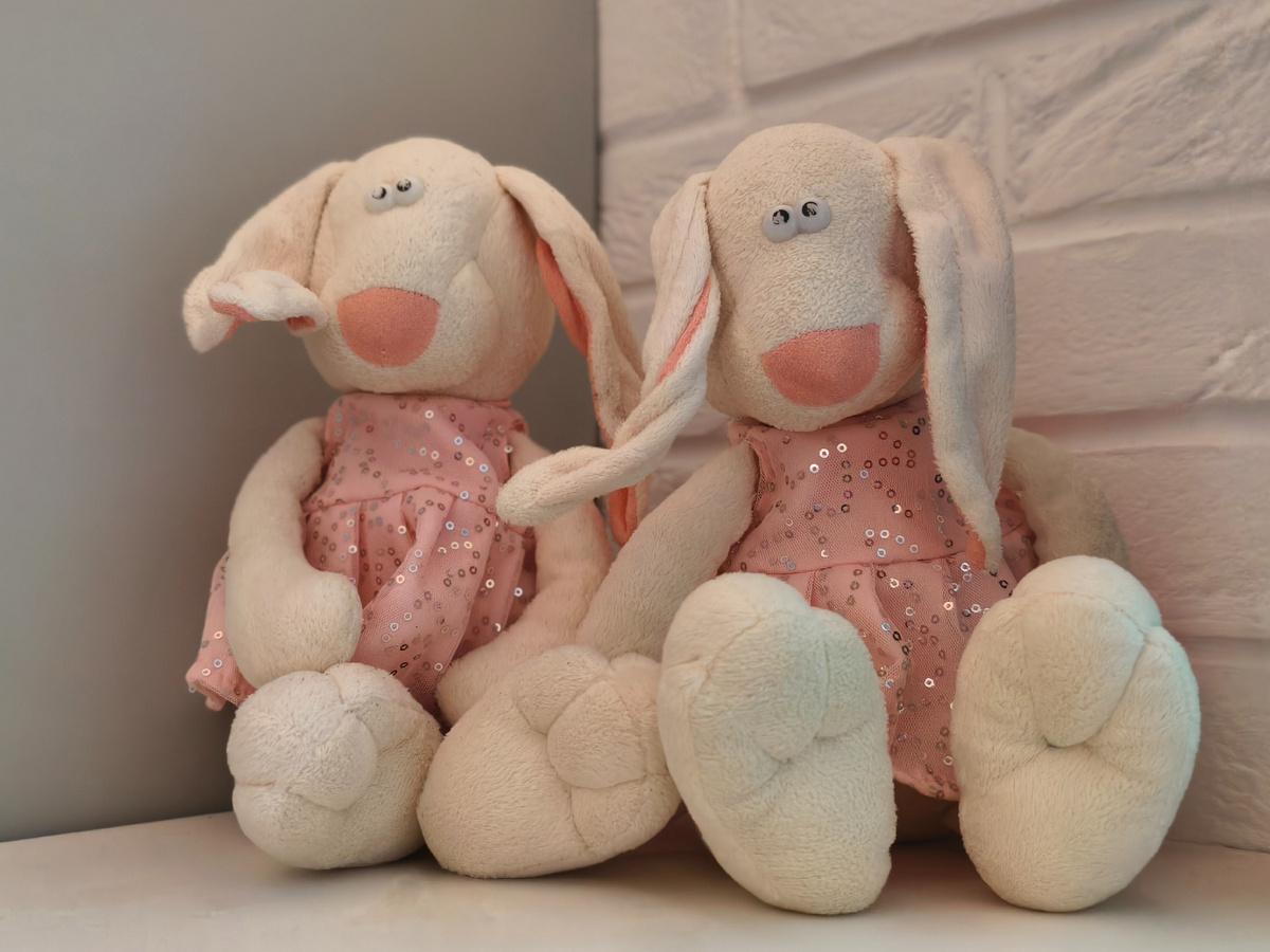 Плюшевые подружки 