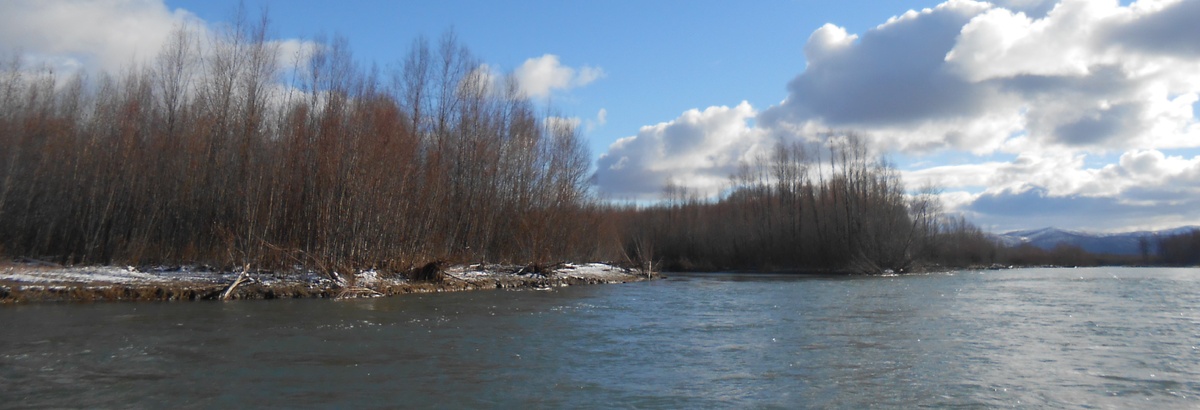 Фото Подоляка Ю.И.