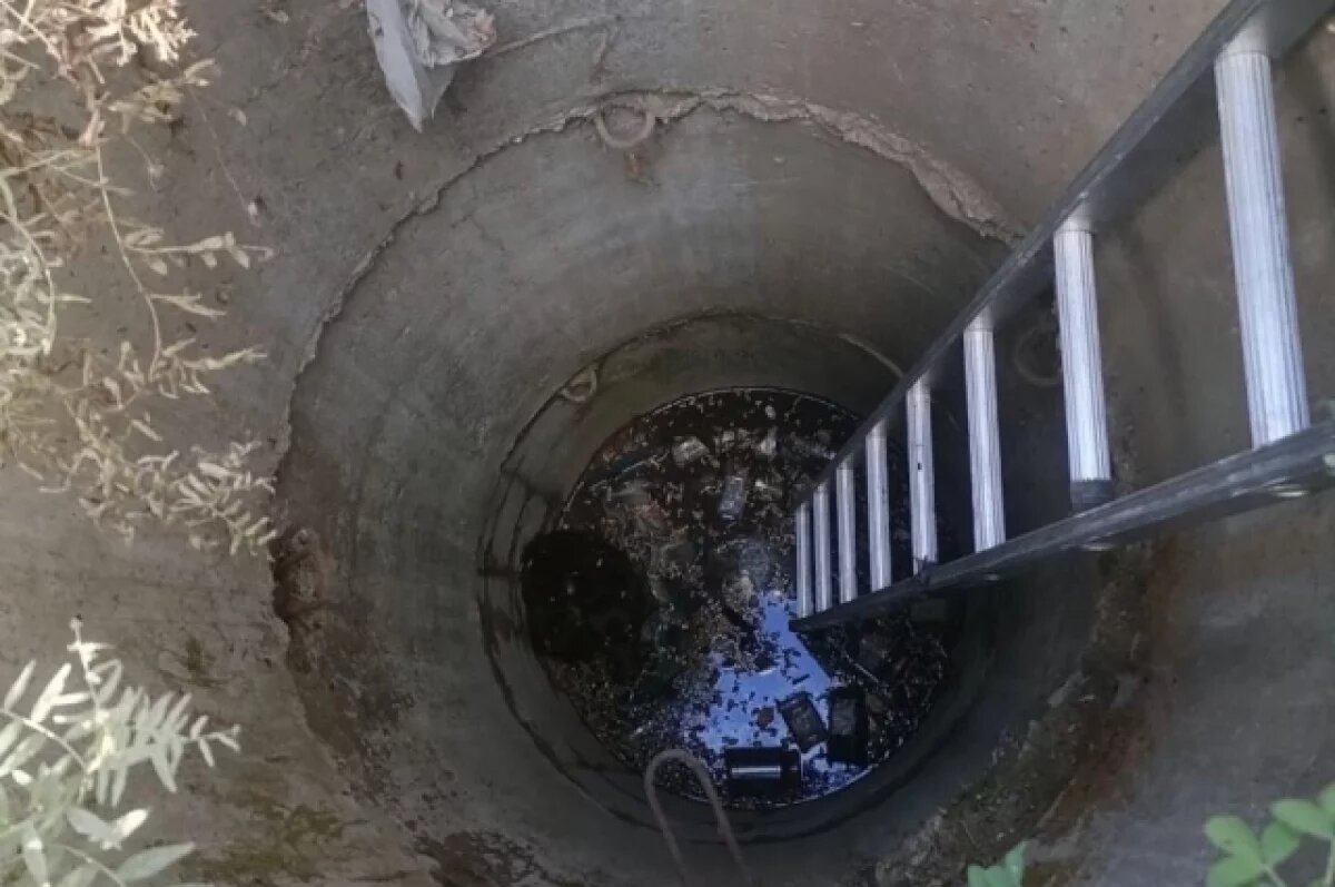    Пожарные спасли собаку из колодца в Чите