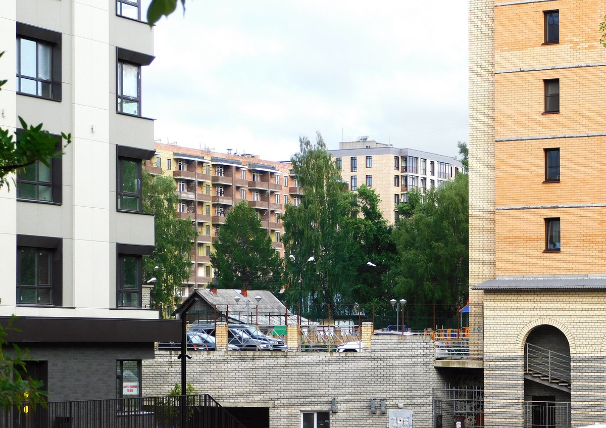    Домашние вампиры: 6 вещей в квартире, которые крадут ваше здоровье день за днем