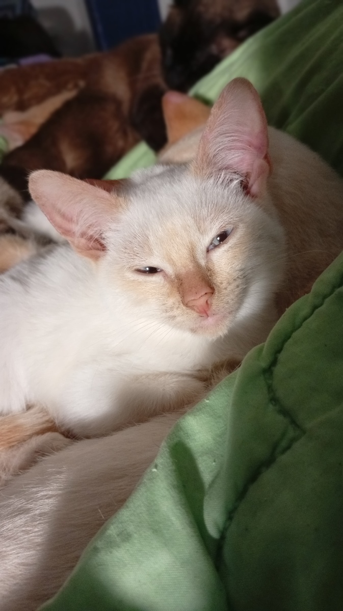 Фото из личного архива