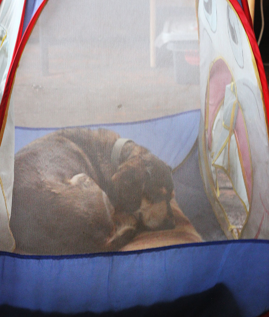 Рамик забрал у Василия Васильевича дом и ушел в спячку