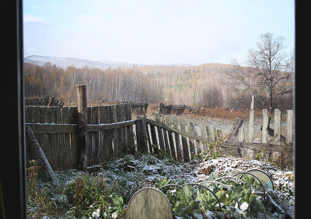 не самая лучшая для птичьих прогулок погода