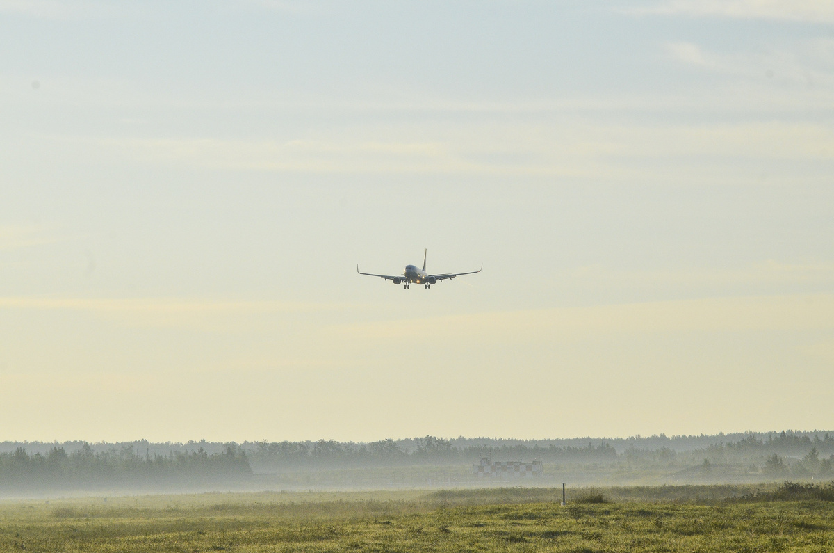 На борту самолета находились 78 человек.  Фото: ФедералПресс / Дмитрий Шевалдин