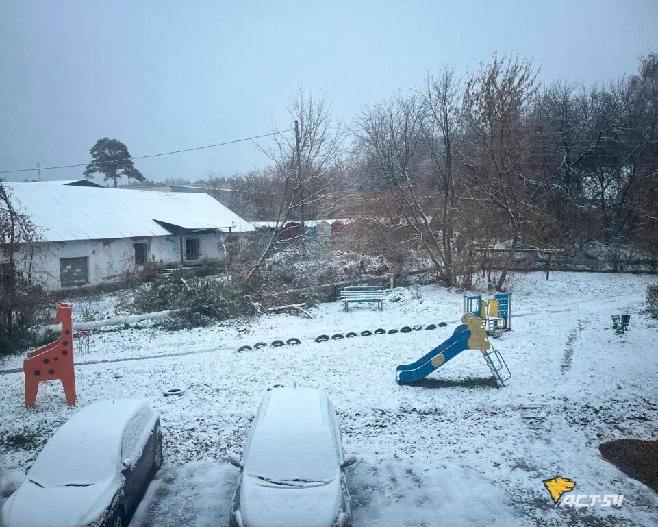    Снег в Новосибирской области. Источник: подписчики сообщества АСТ-54 Новосибирск / vk.com/act54