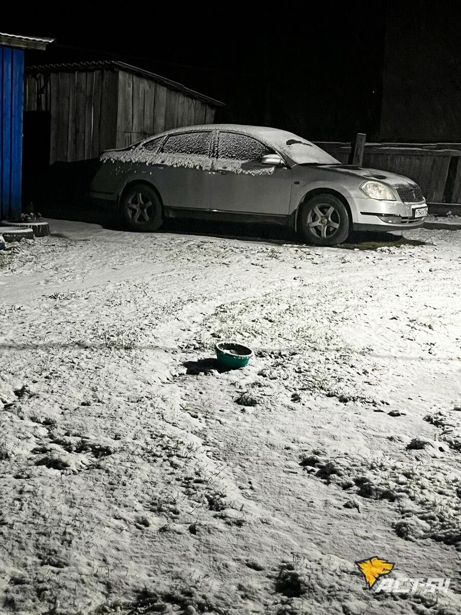    Снег в Новосибирской области. Источник: подписчики сообщества АСТ-54 Новосибирск / vk.com/act54