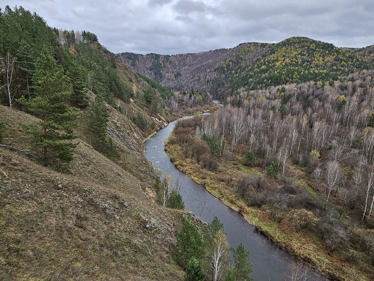 Сибирская осень в тайге.