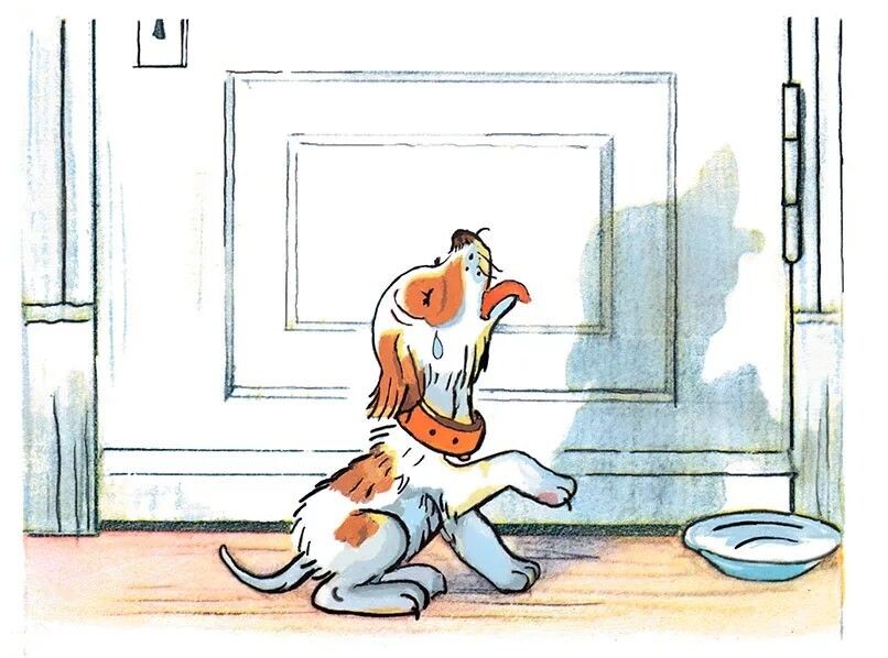 Картинка из открытых источников сети Интернет 