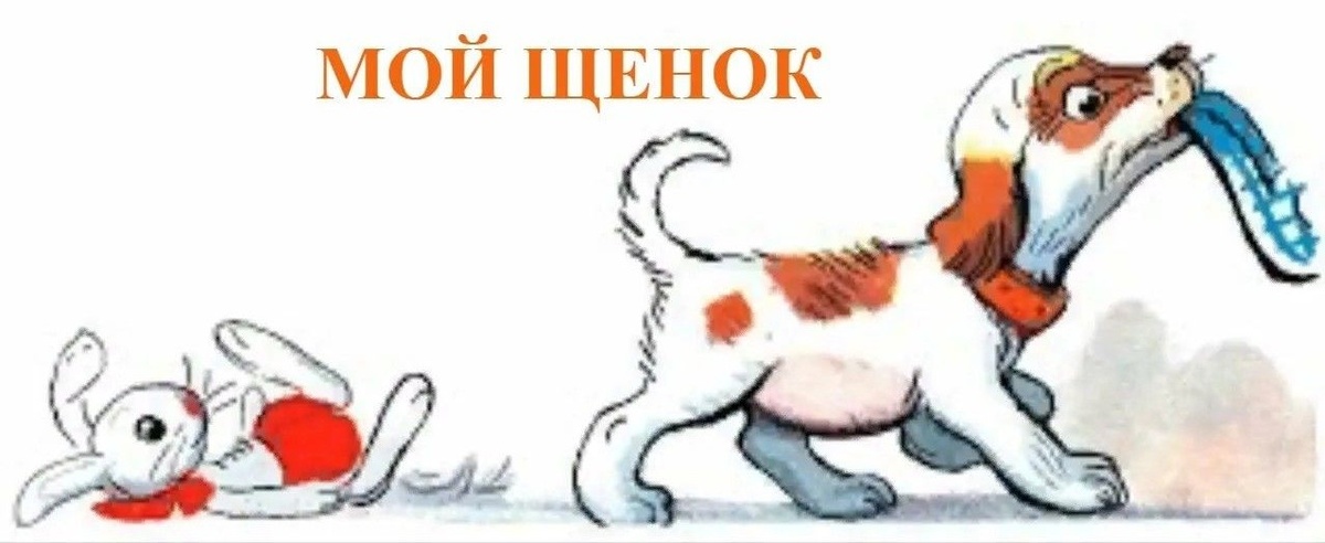 Картинка из открытых источников сети Интернет 