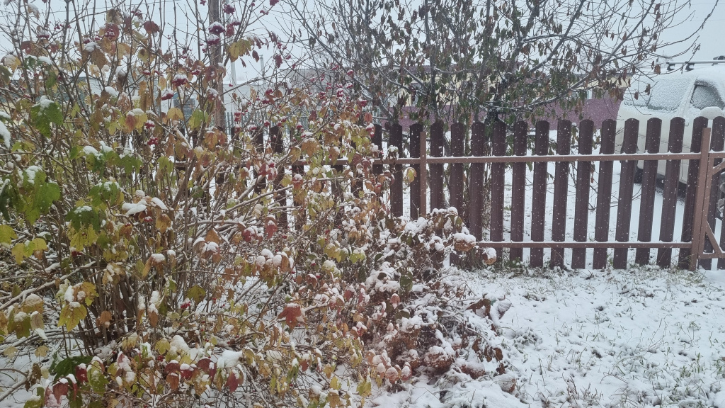    В выходные дни в Югре пройдёт мокрый снег и ожидаются заморозки