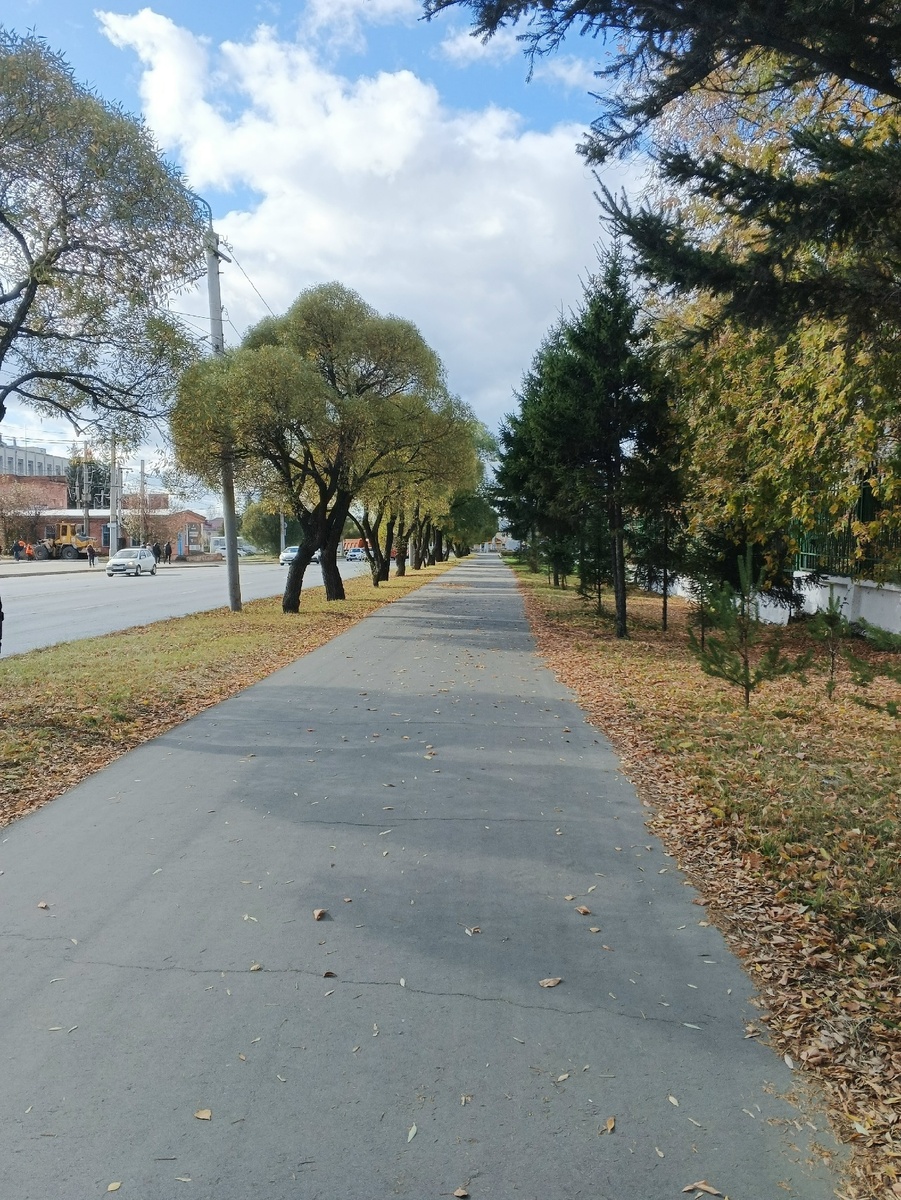 Тротуар между культурным местом и больничным