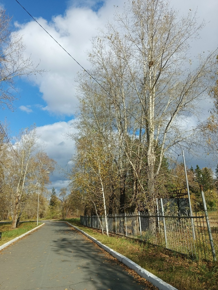 Входим в парк