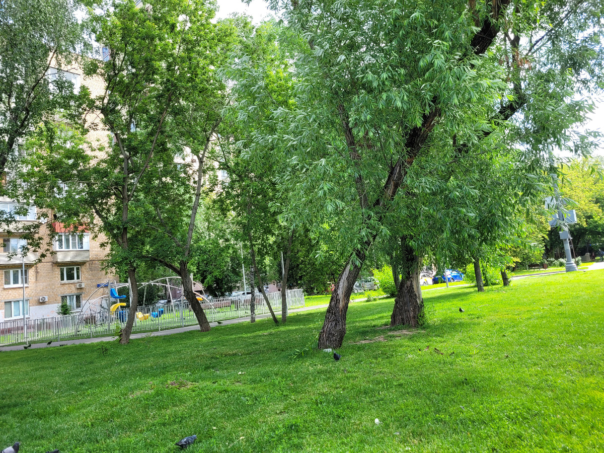 Это я в городе.