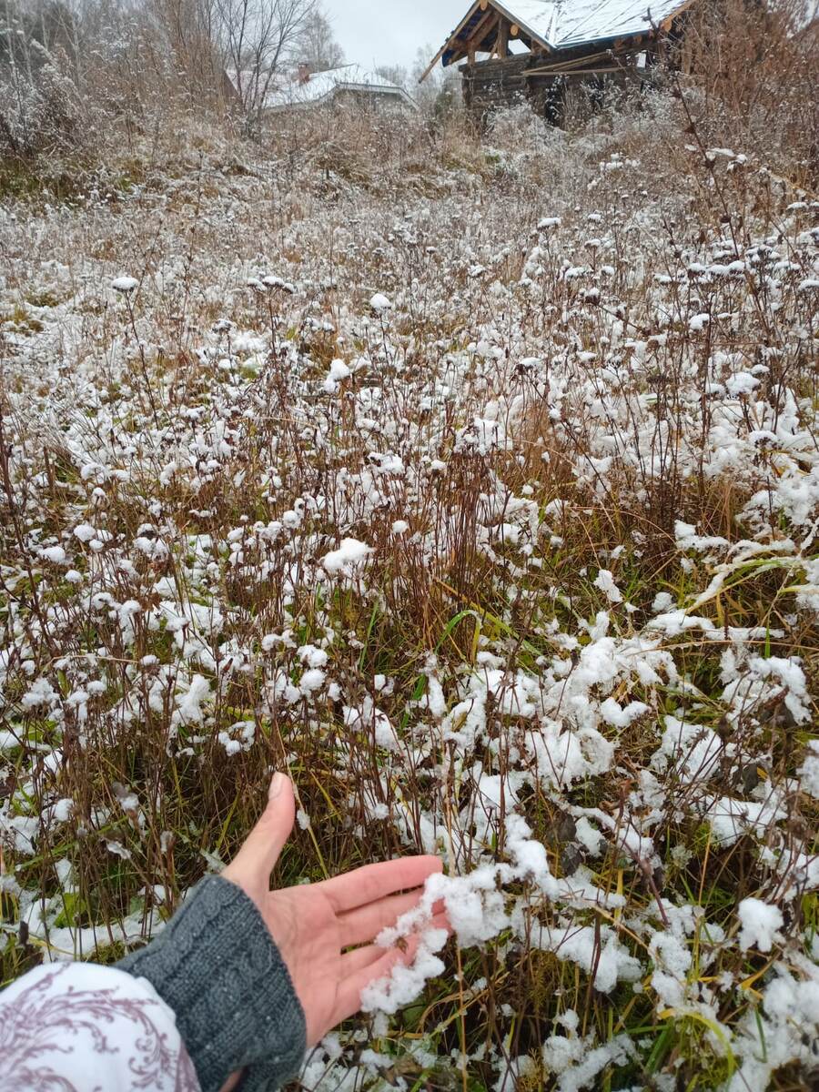 С первым снегом!