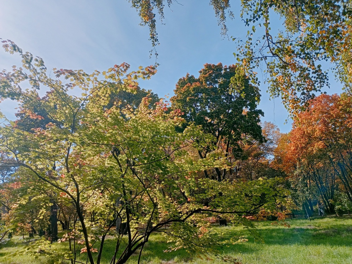    Фото: Марина Куцина