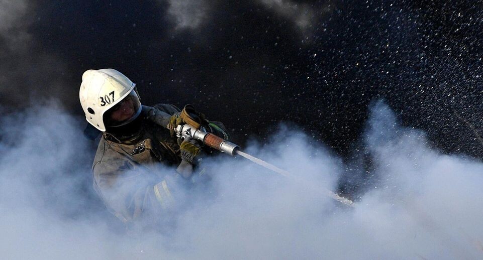    РИА «Новости»