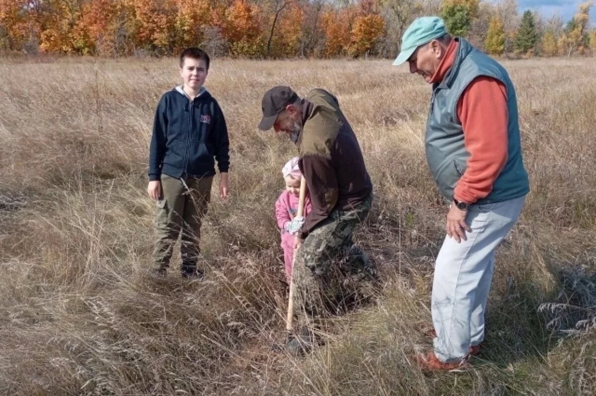    Волонтеры высадили на острове Зелененьком 400 сосен