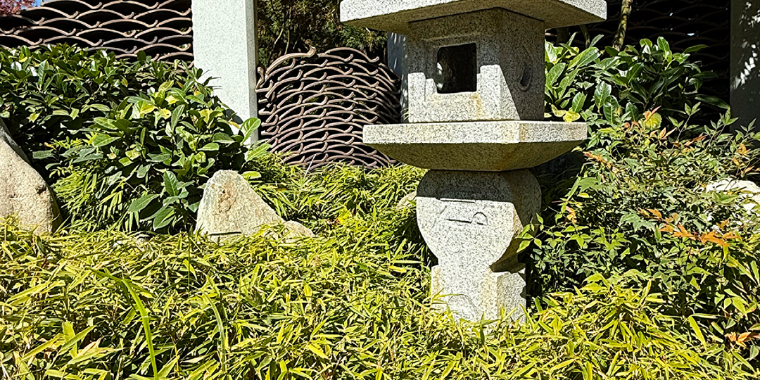 В Японском саду Галицкого есть уникальный забор