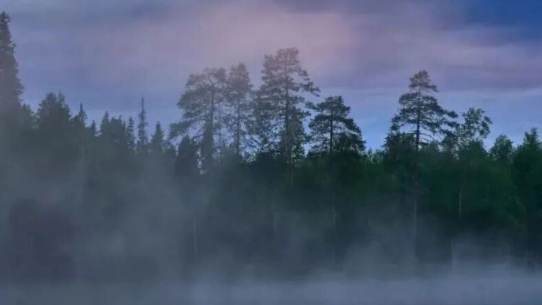    Фото: Ondrej Prosicky/Shutterstock/Fotodom