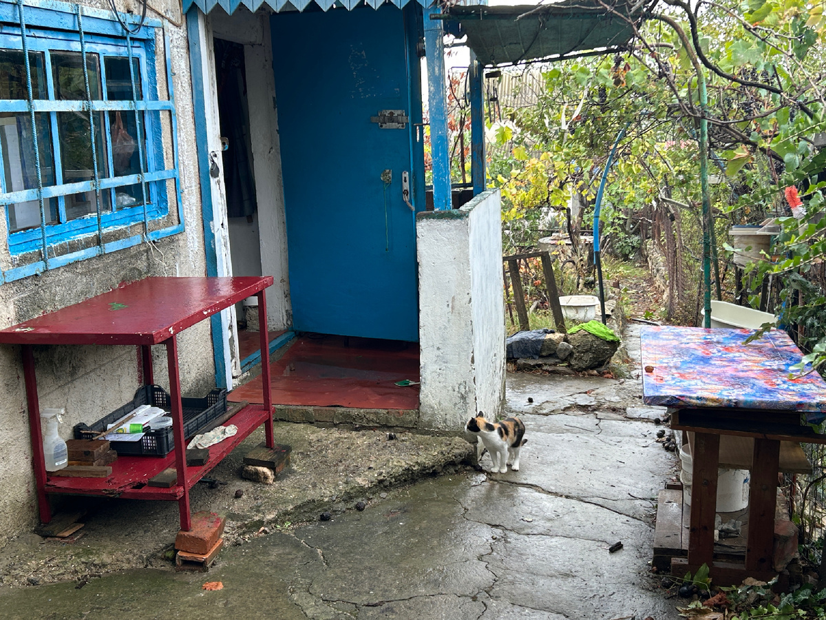 В дождь на крыльцо затекает вода и образуется лужа, так как пол неровный. 