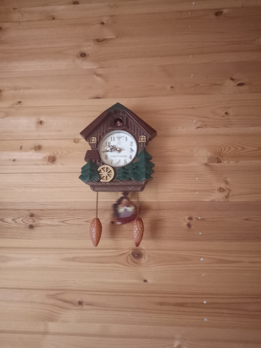 Фото автора. Часы